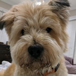 Meet your Posher, Angel